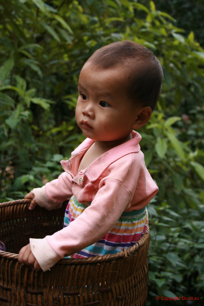 VietNam 20080728 158  